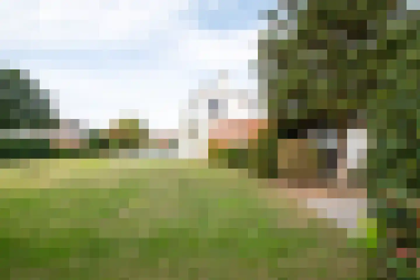 Diessenplasstraat 5 Holten thumbnail 46