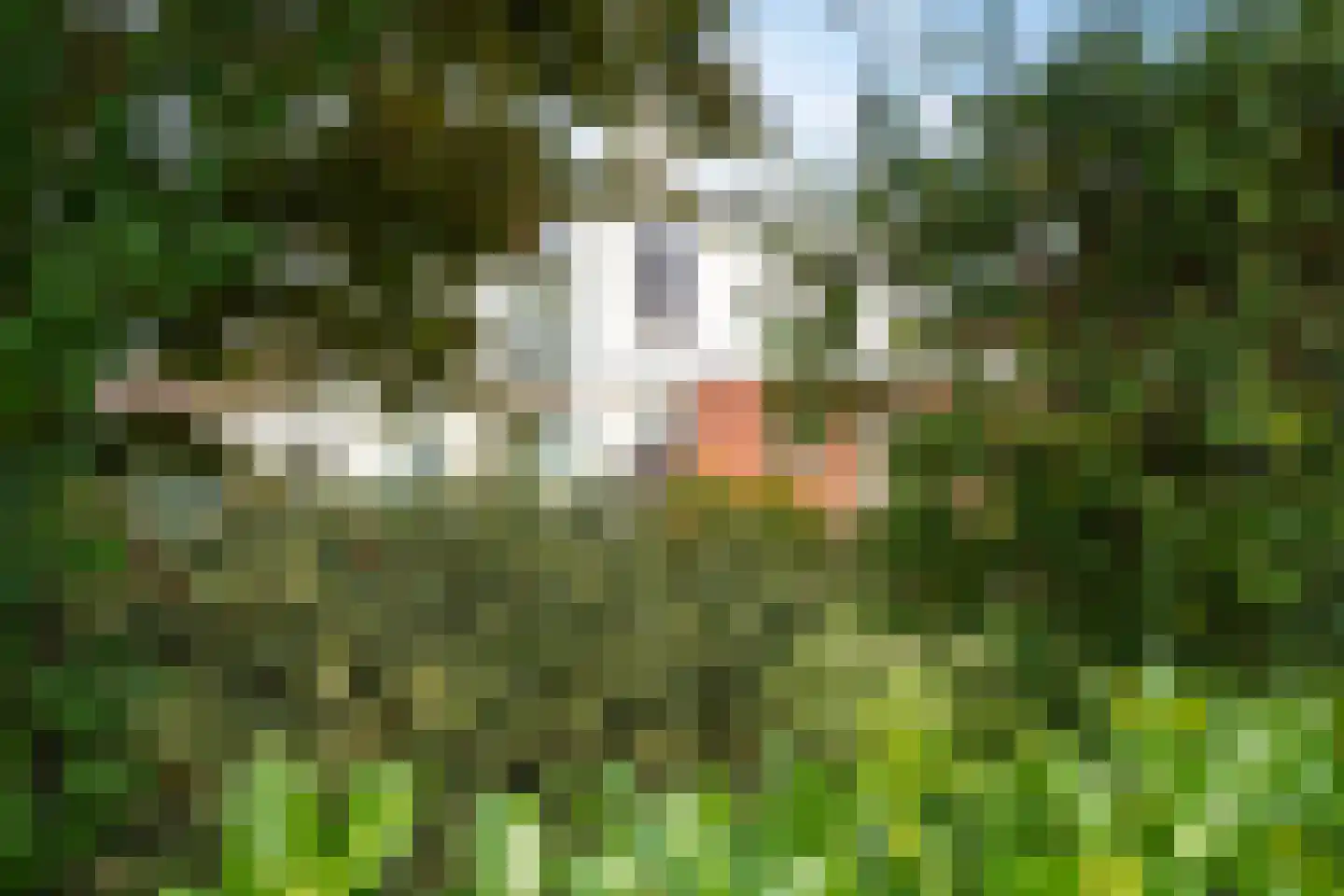 Diessenplasstraat 5 Holten thumbnail 47