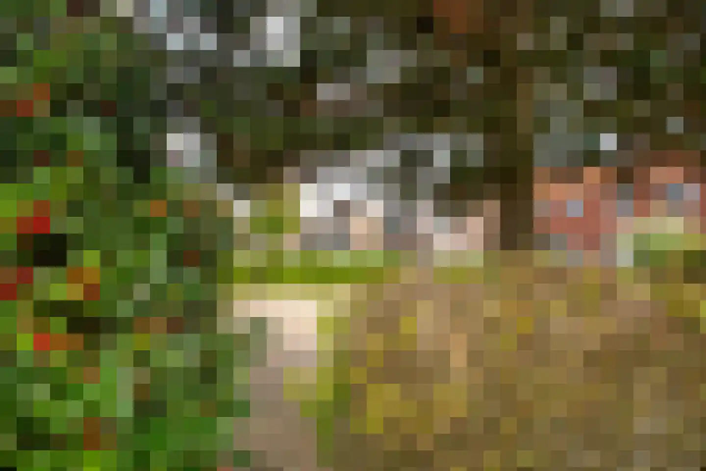 Diessenplasstraat 5 Holten thumbnail 48