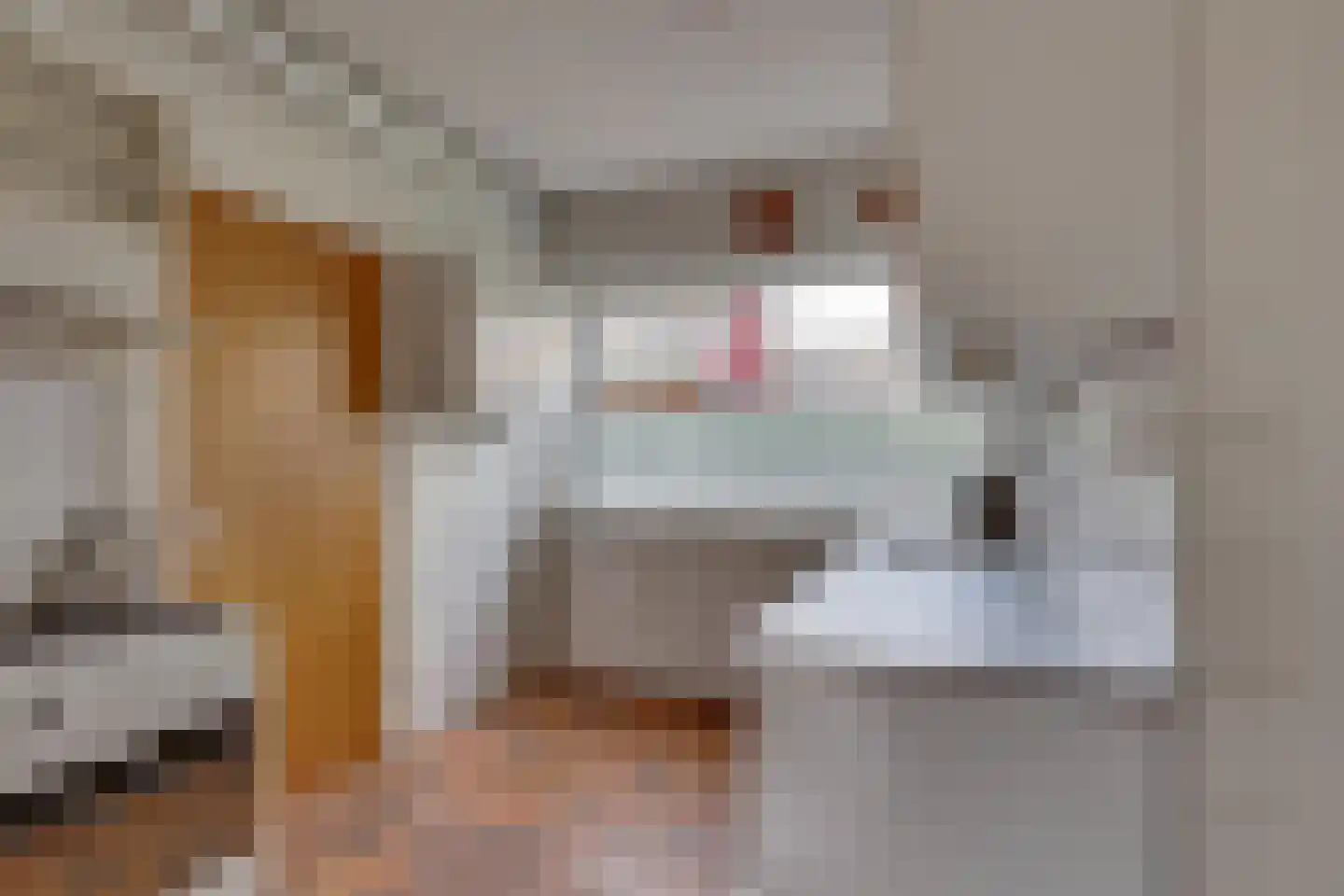 Diessenplasstraat 5 Holten thumbnail 5
