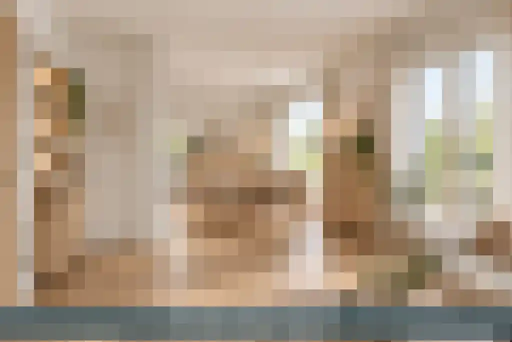 Diessenplasstraat 5 Holten thumbnail 8