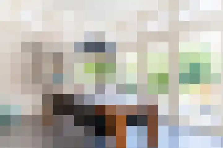 Diessenseweg 28 Hilvarenbeek thumbnail 15