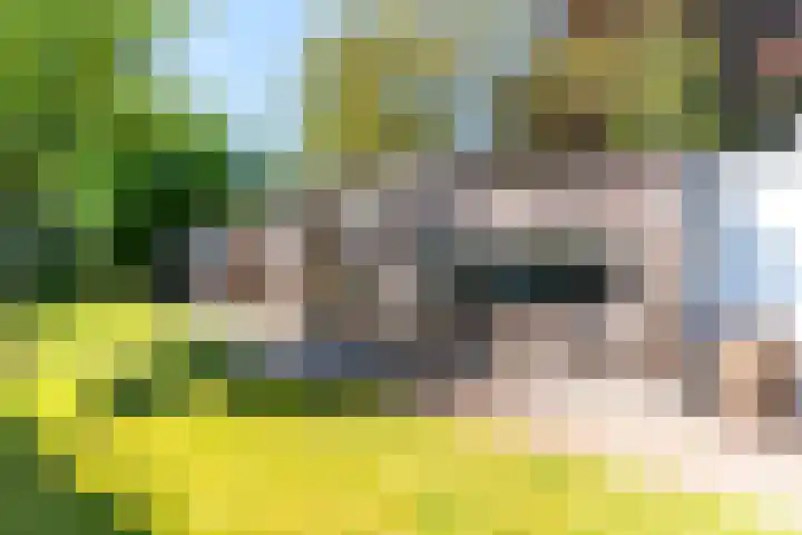 Diessenseweg 28 Hilvarenbeek thumbnail 28