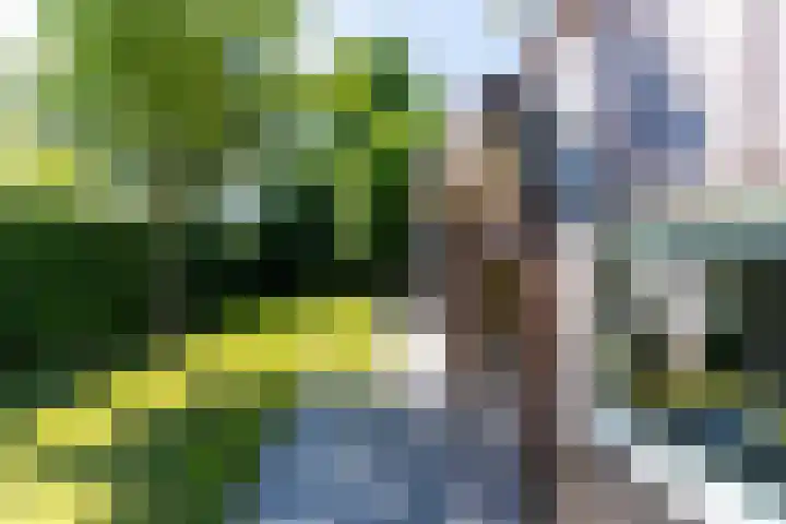 Diessenseweg 28 Hilvarenbeek thumbnail 29