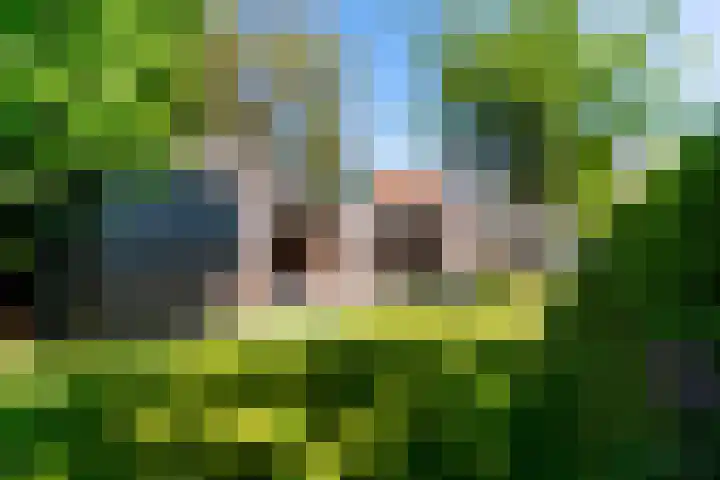 Diessenseweg 28 Hilvarenbeek thumbnail 31