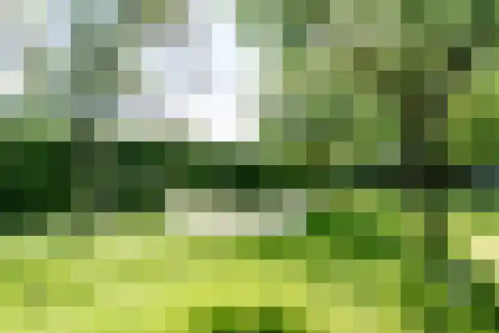 Diessenseweg 28 Hilvarenbeek thumbnail 38
