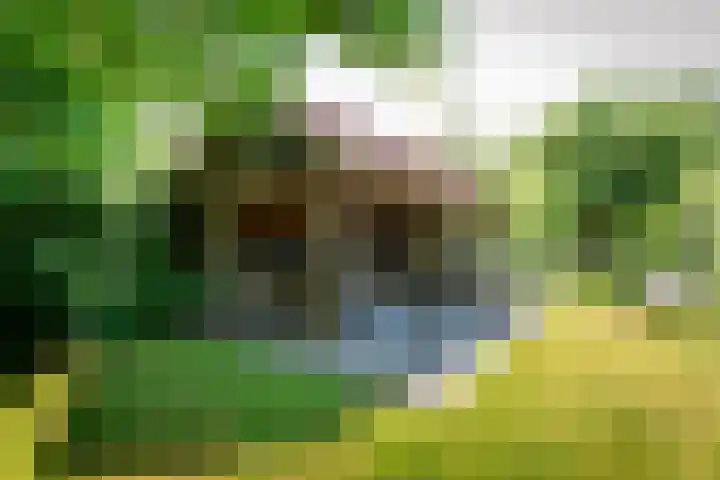 Diessenseweg 28 Hilvarenbeek thumbnail 4