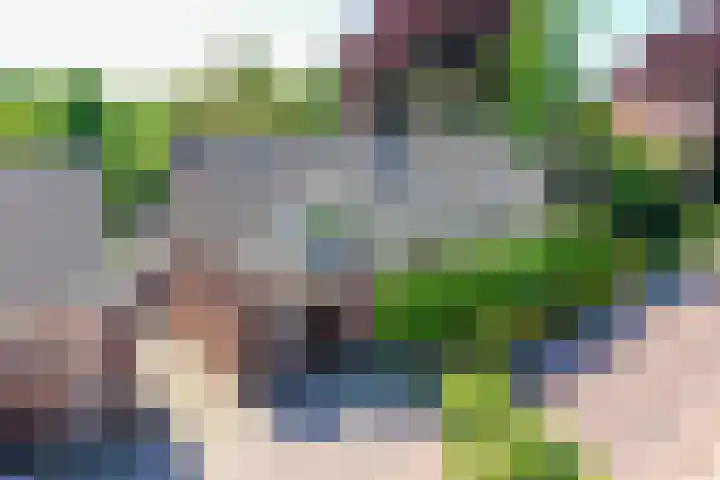 Diessenseweg 28 Hilvarenbeek thumbnail 5