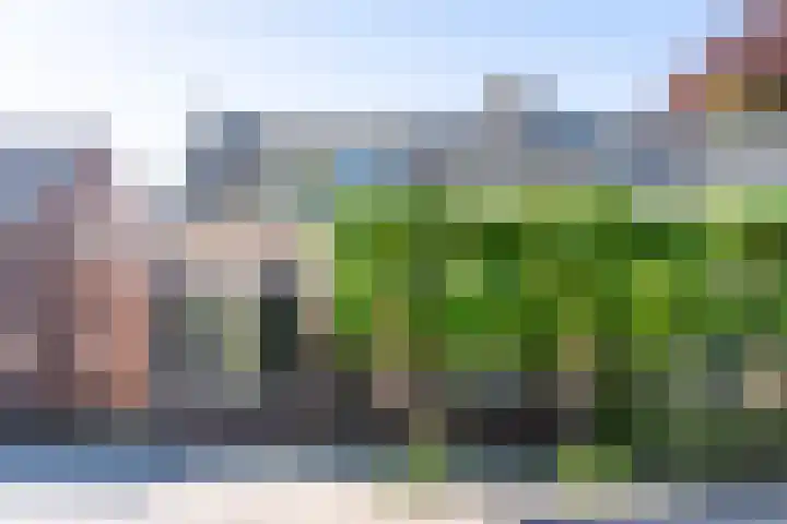 Diessenseweg 28 Hilvarenbeek thumbnail 6