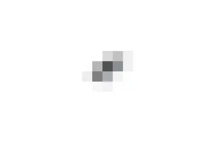 Diessenseweg 28 Hilvarenbeek thumbnail 73