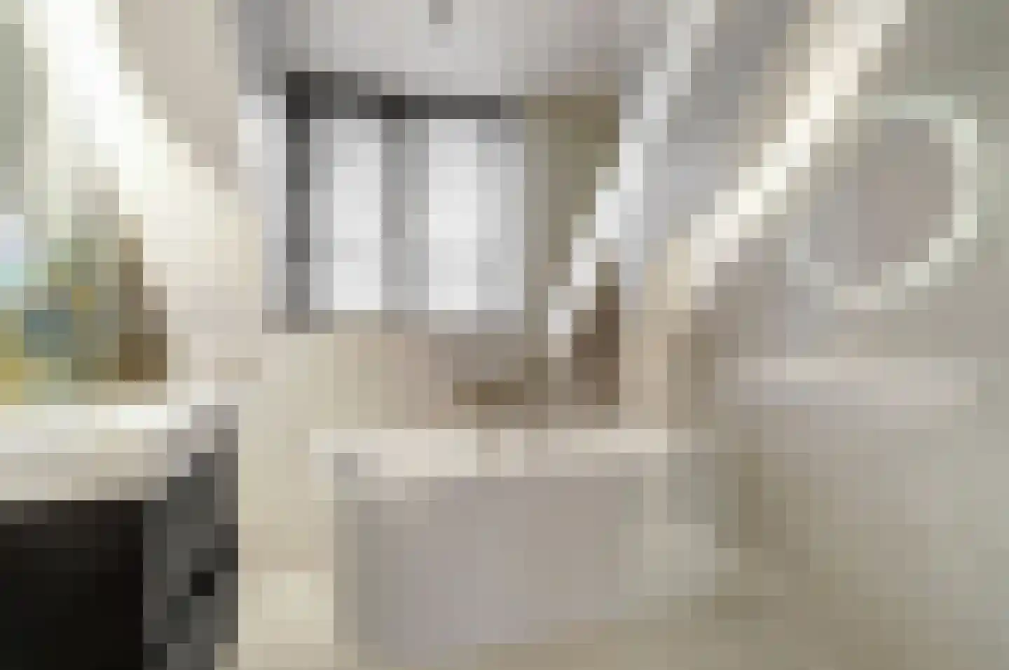 Diessenseweg 36 Hilvarenbeek thumbnail 22