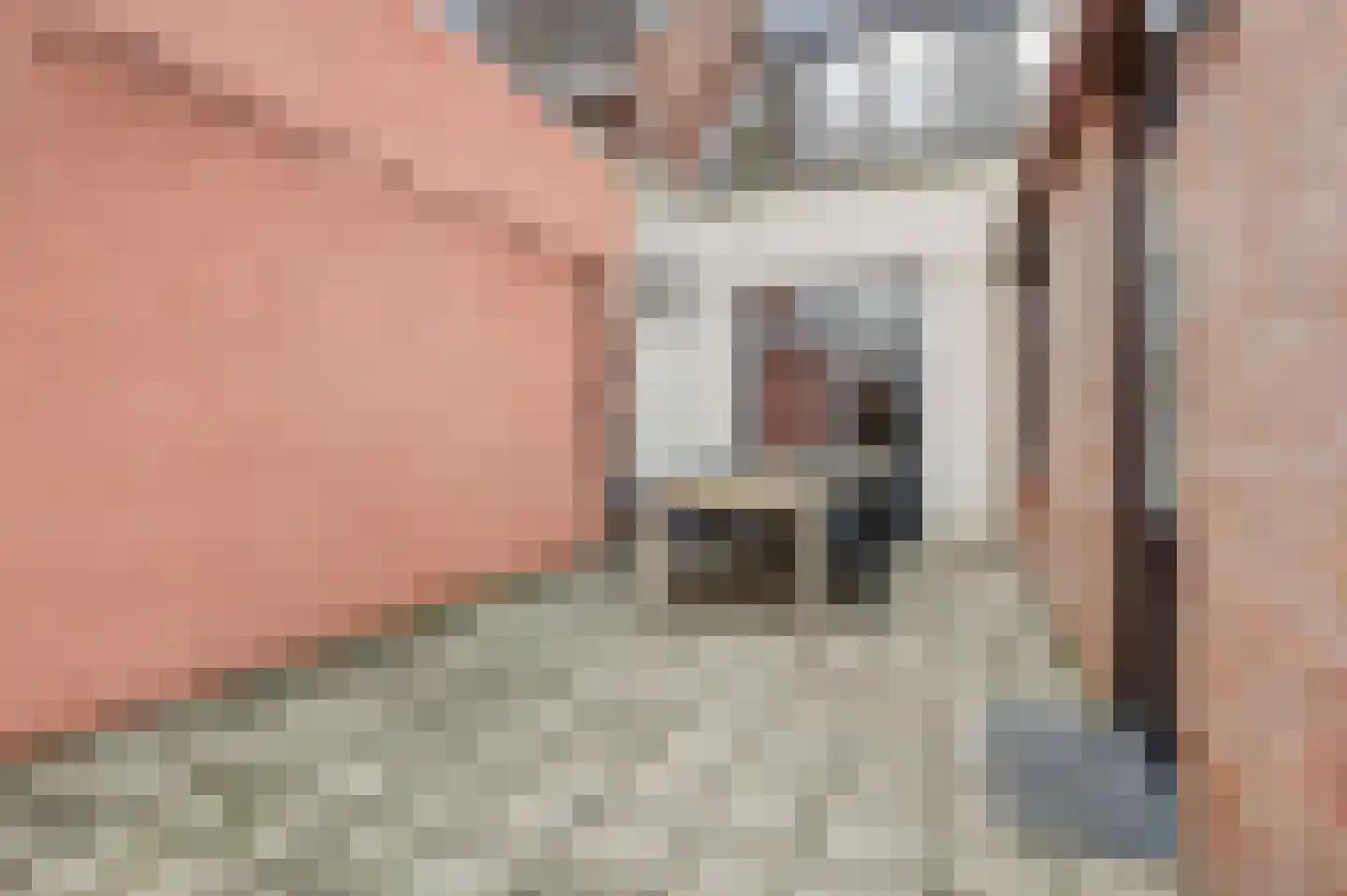 Diessenseweg 36 Hilvarenbeek thumbnail 24