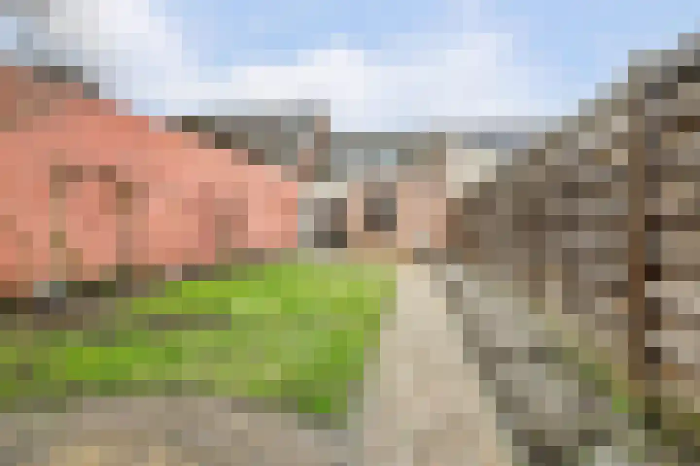 Diessenseweg 36 Hilvarenbeek thumbnail 27