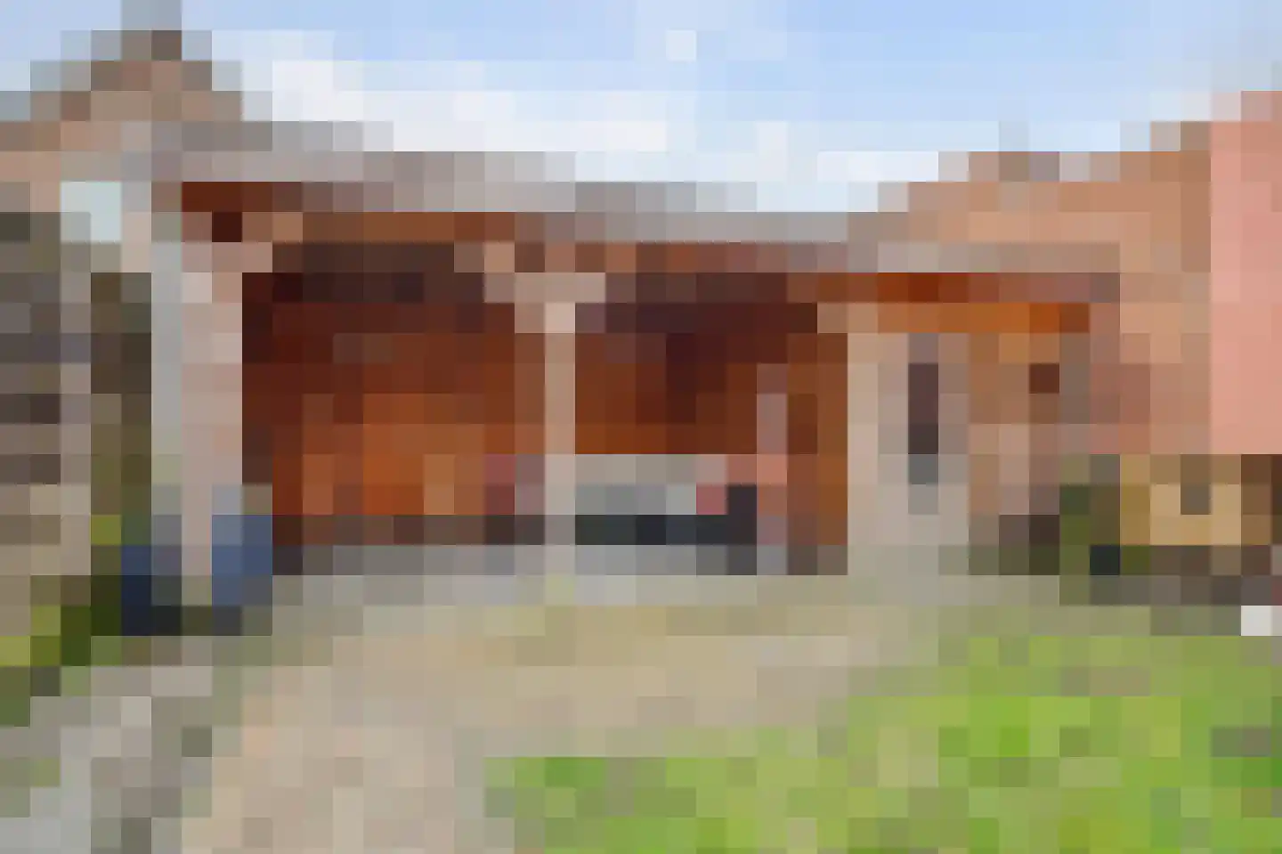 Diessenseweg 36 Hilvarenbeek thumbnail 28