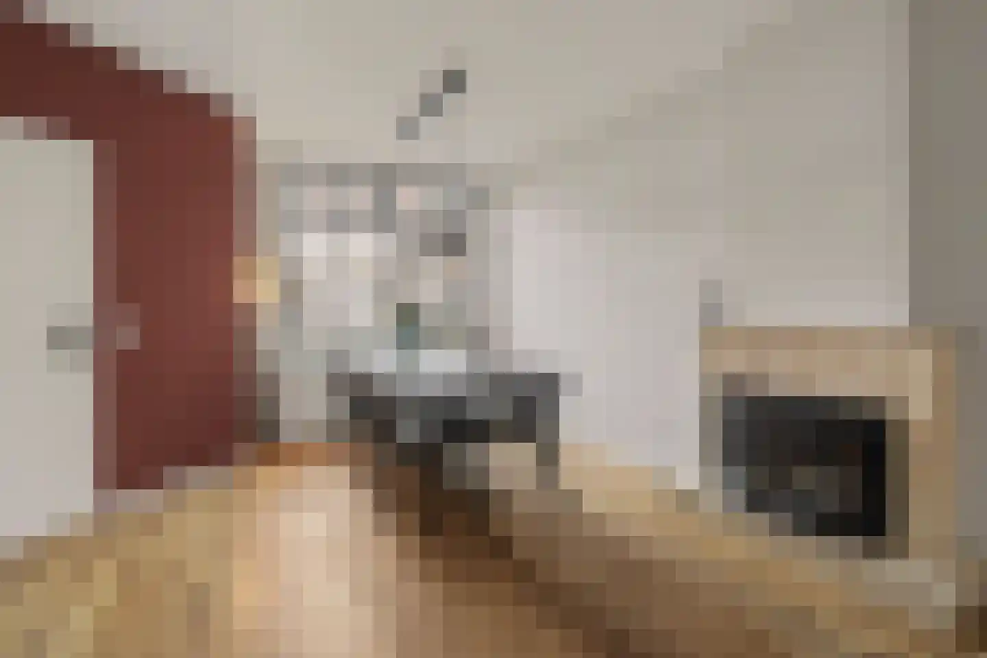 Diessenseweg 36 Hilvarenbeek thumbnail 6