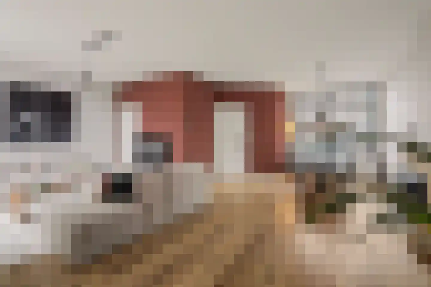 Diessenseweg 36 Hilvarenbeek thumbnail 8