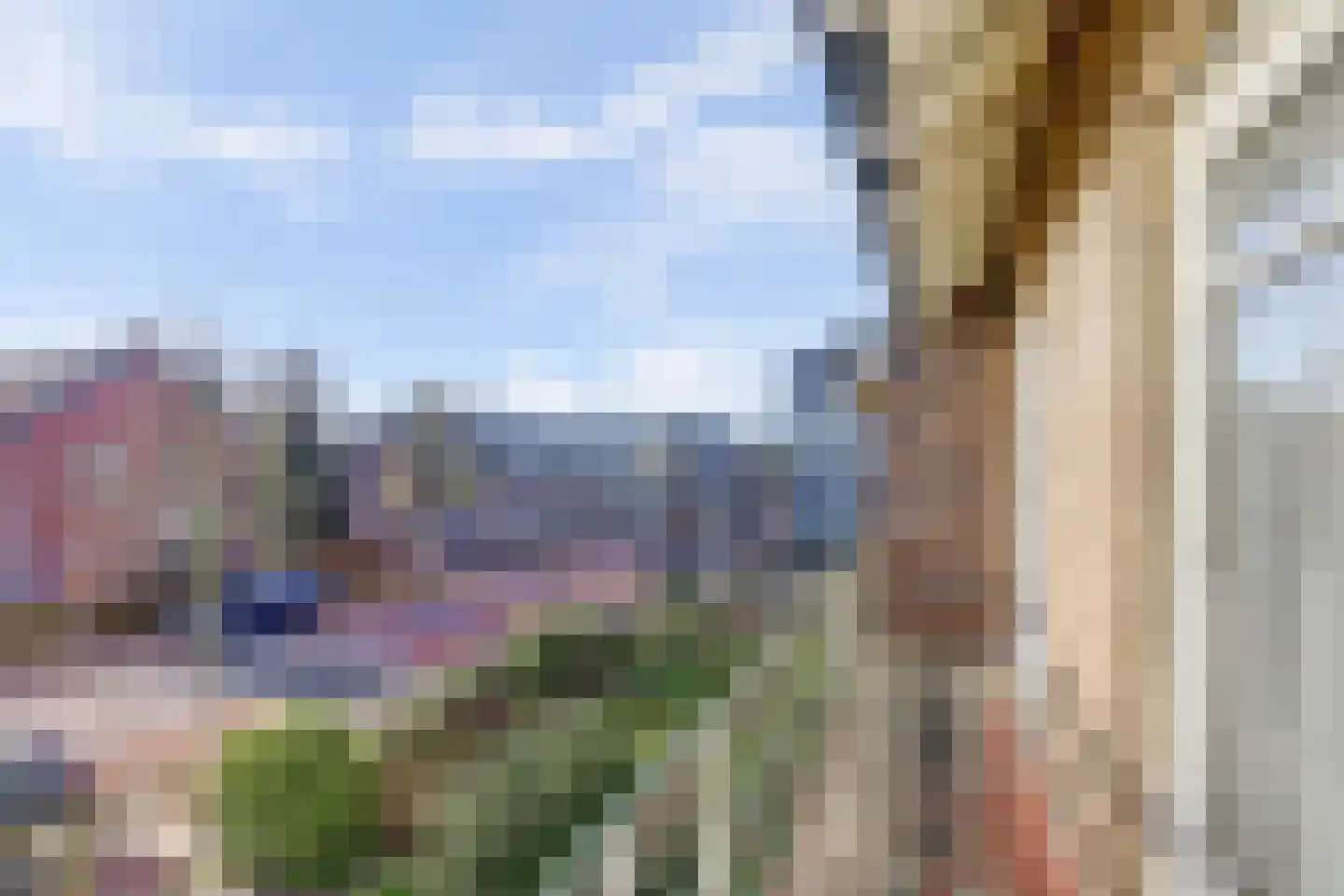 Diessenseweg 65 Hilvarenbeek thumbnail 22