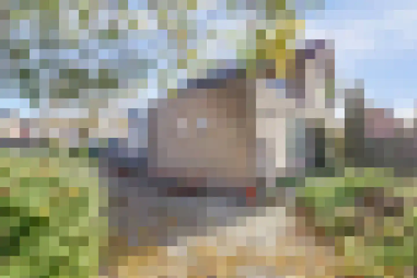 Diessenseweg 65 Hilvarenbeek thumbnail 40