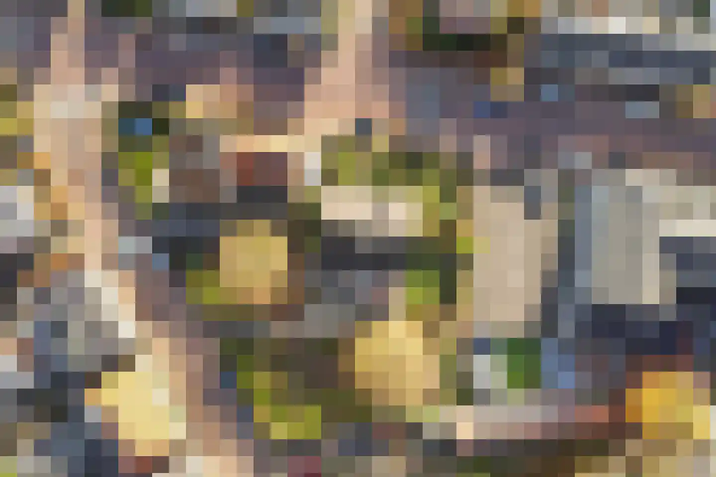 Diessenseweg 65 Hilvarenbeek thumbnail 42