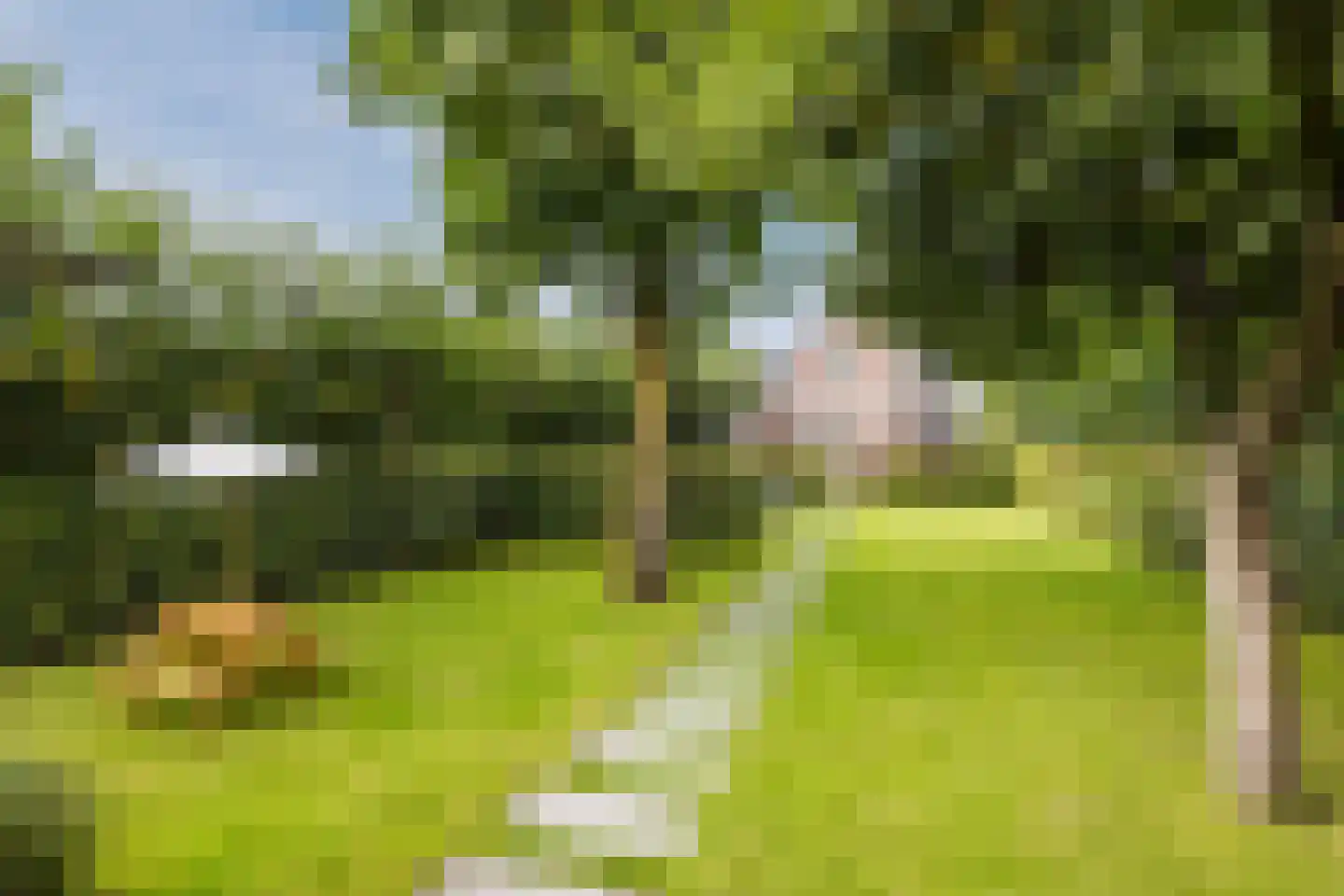 Diessenseweg 72 Hilvarenbeek thumbnail 4