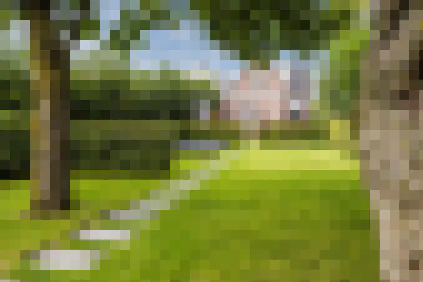 Diessenseweg 72 Hilvarenbeek thumbnail 57