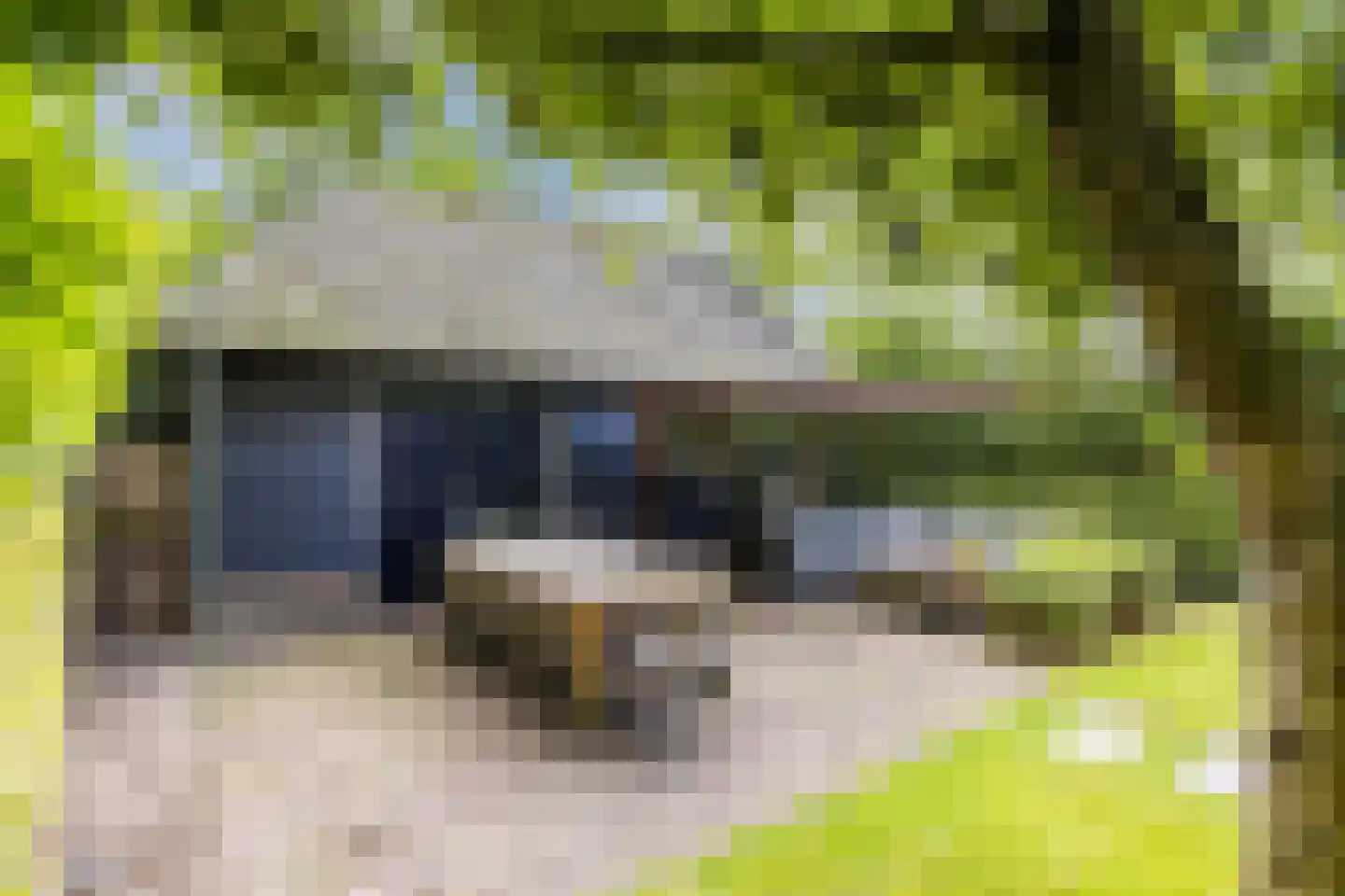 Diessenseweg 72 Hilvarenbeek thumbnail 58