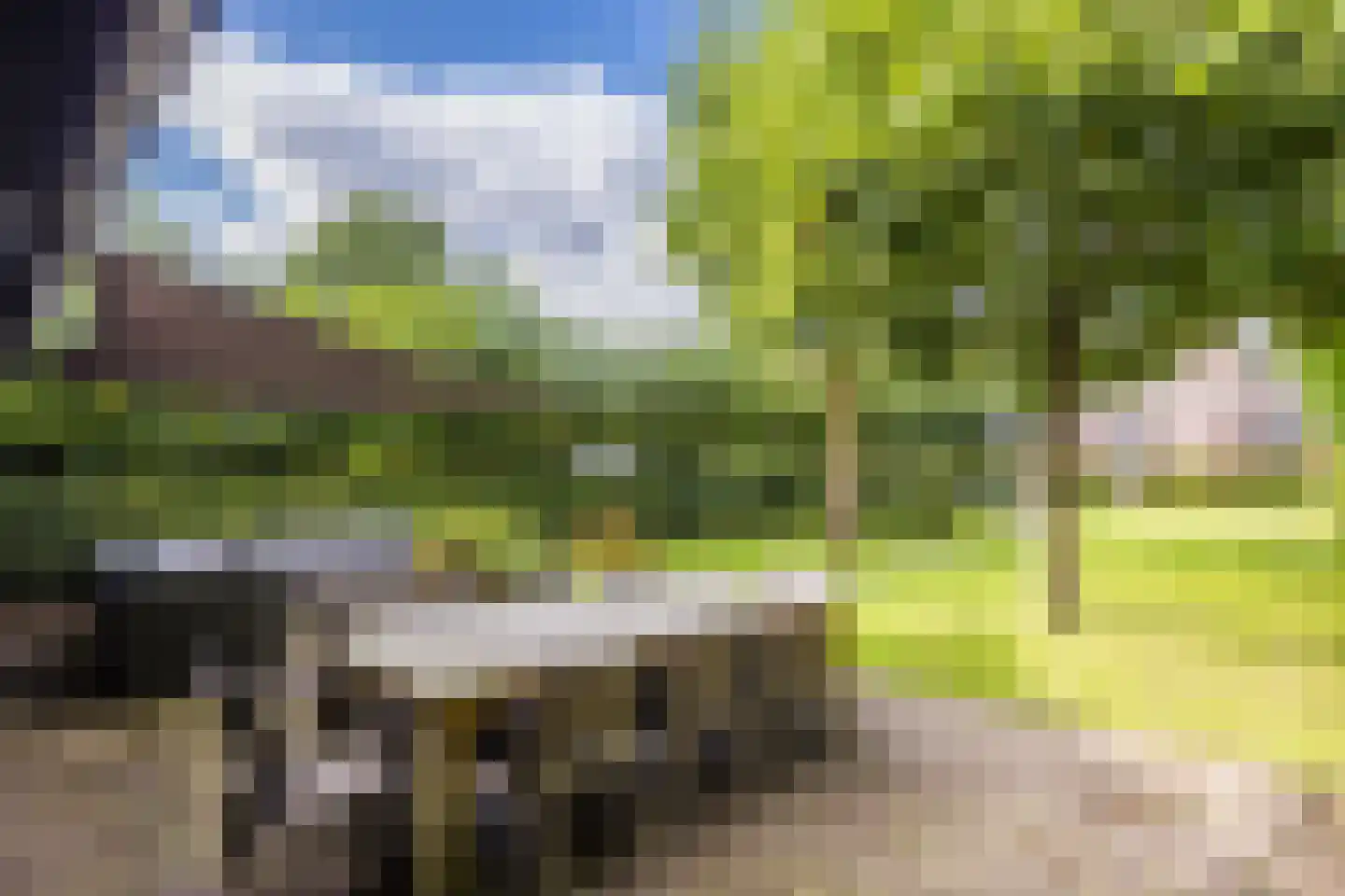 Diessenseweg 72 Hilvarenbeek thumbnail 59