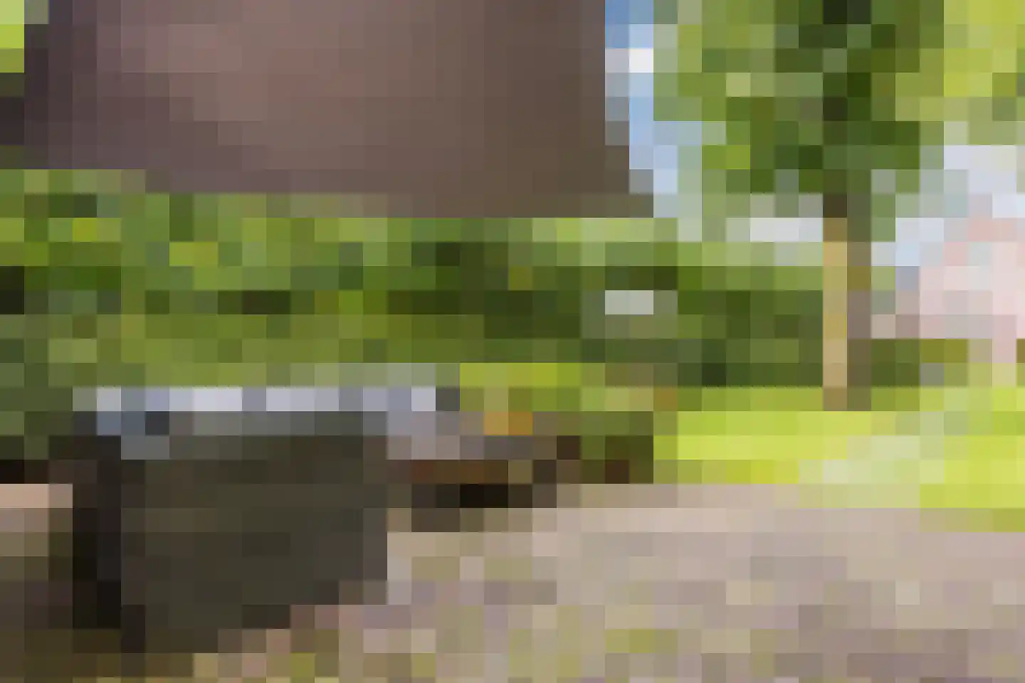 Diessenseweg 72 Hilvarenbeek thumbnail 60