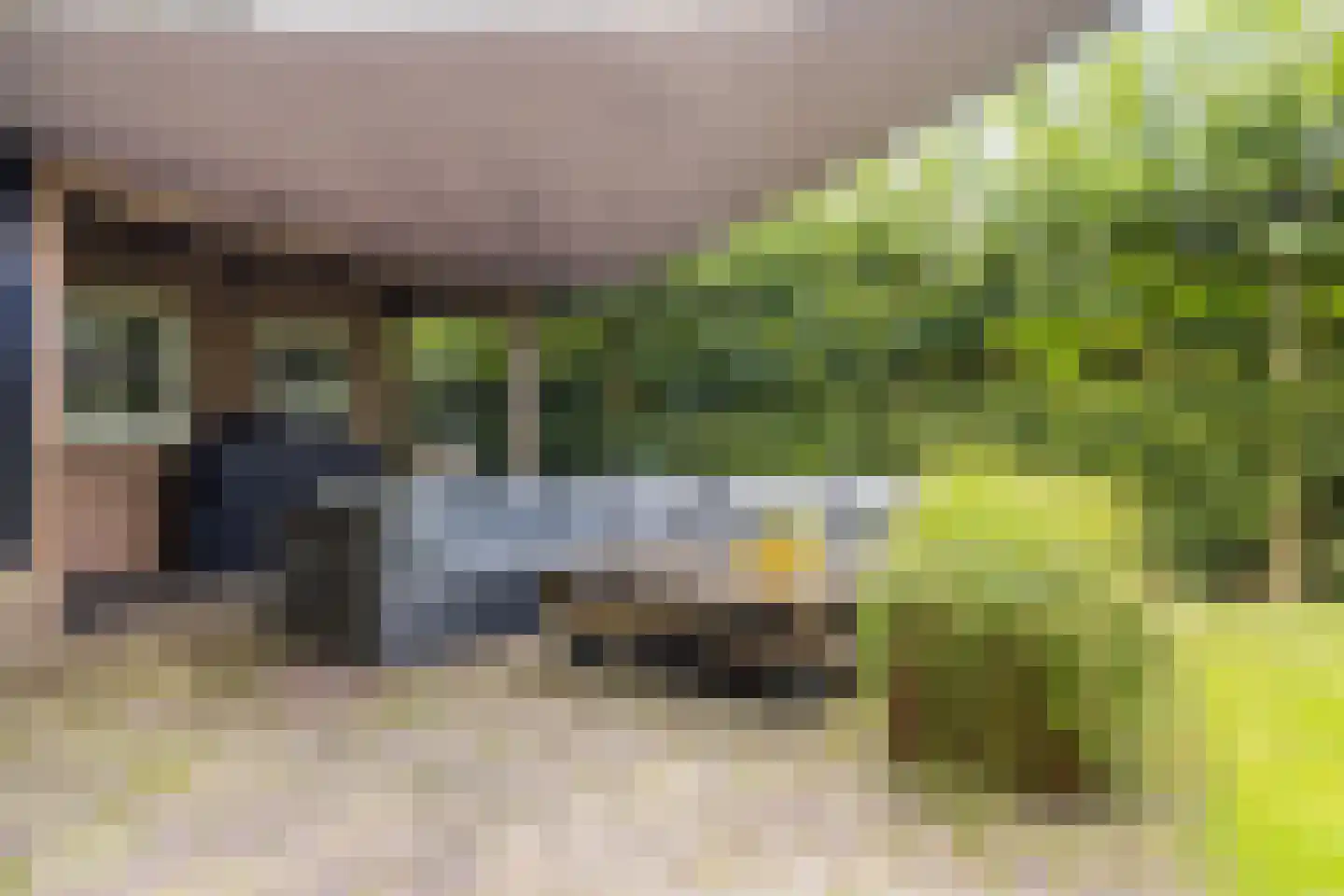 Diessenseweg 72 Hilvarenbeek thumbnail 61