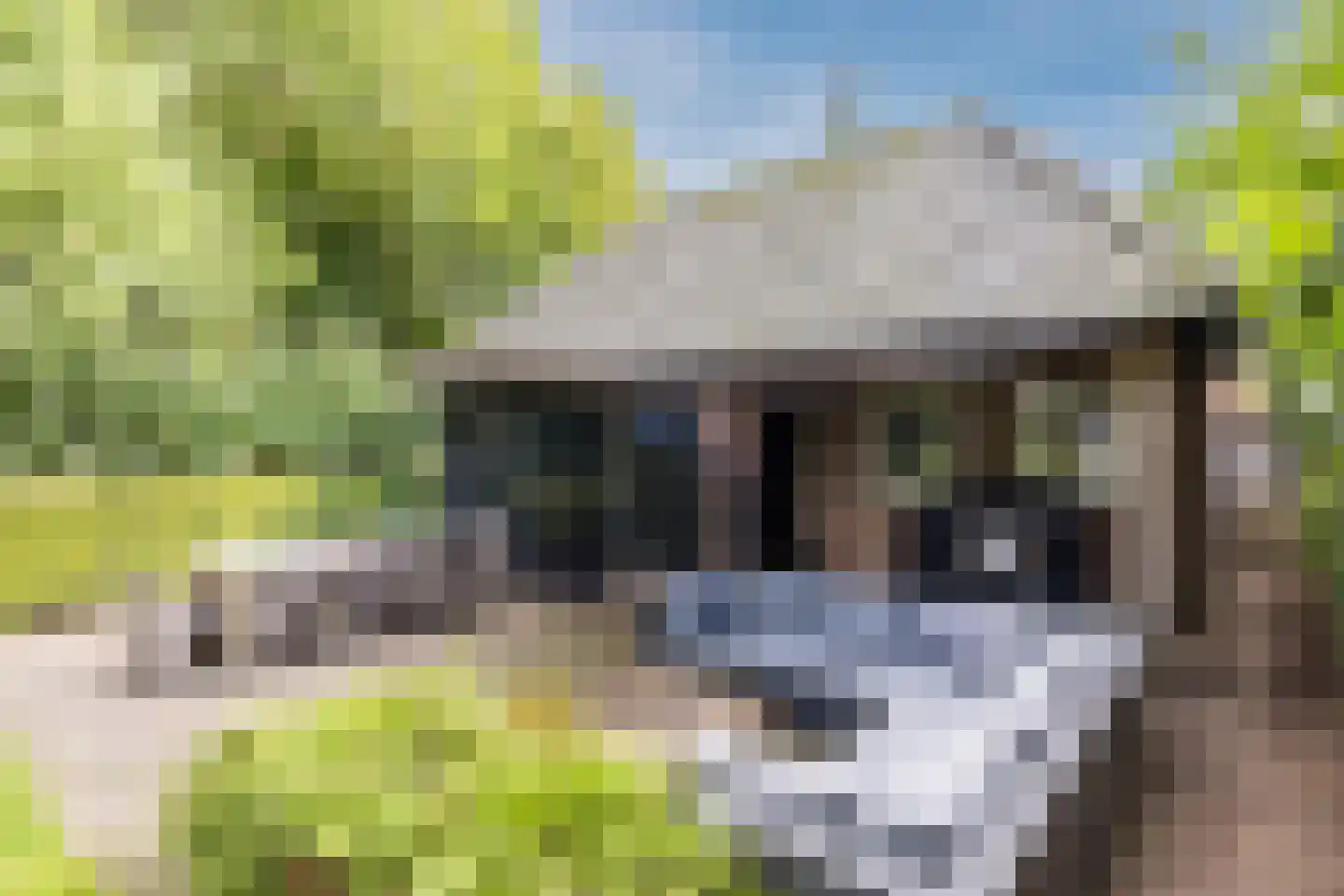 Diessenseweg 72 Hilvarenbeek thumbnail 62