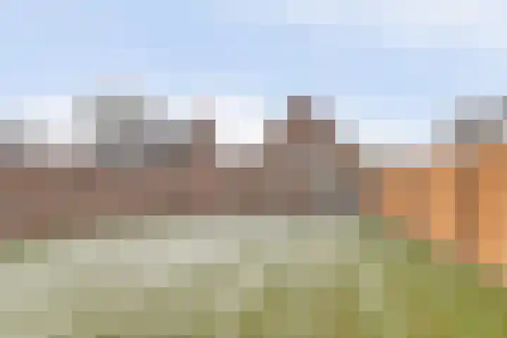 Diessenseweg 73 Hilvarenbeek thumbnail 31
