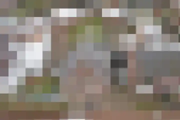 Diessenseweg 73 Hilvarenbeek thumbnail 32