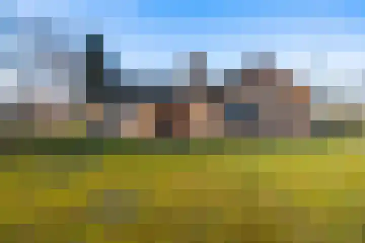 Diesterbaan 40 Weert thumbnail 8