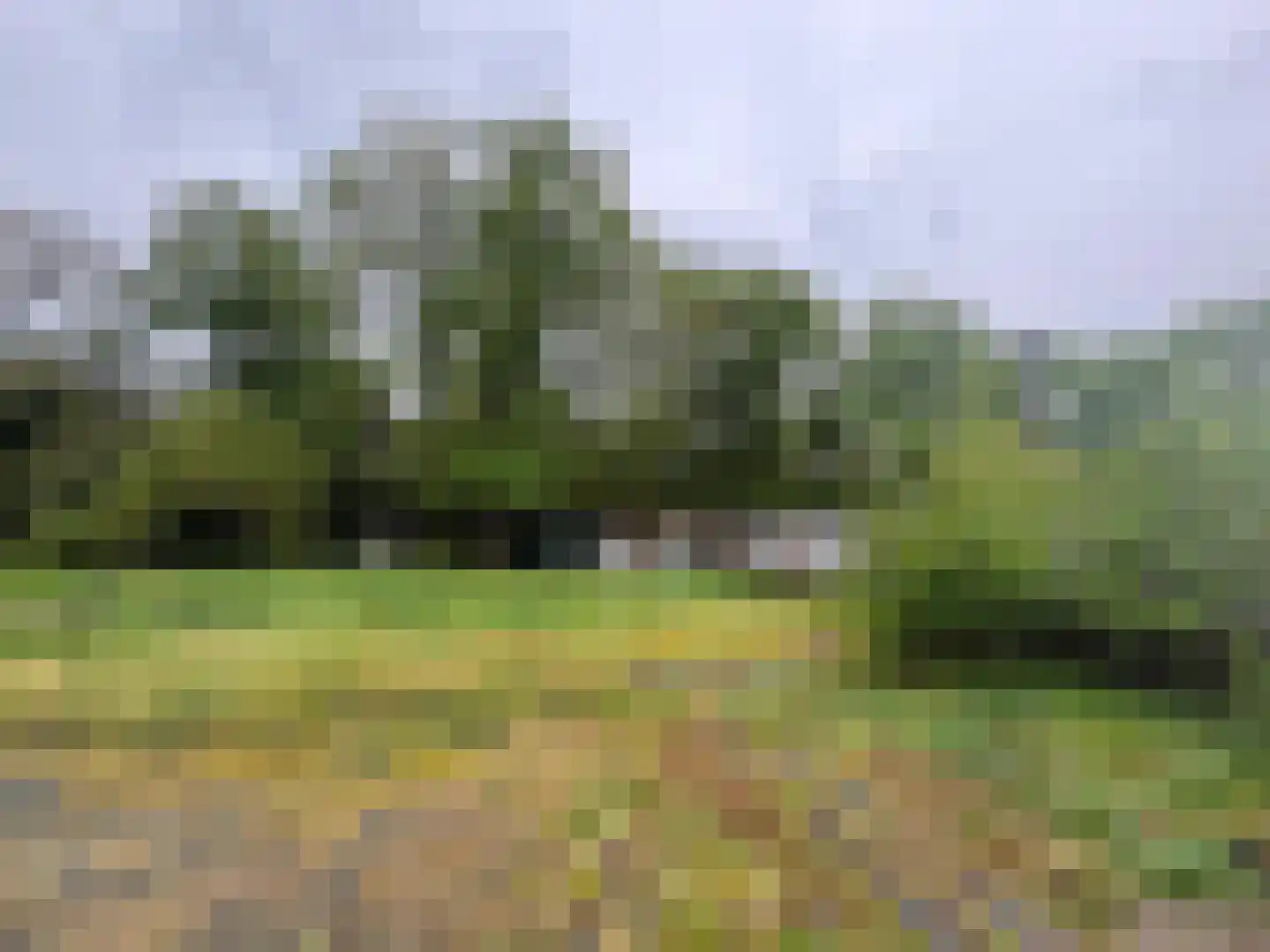 Diesterbaan 63 Weert thumbnail 10