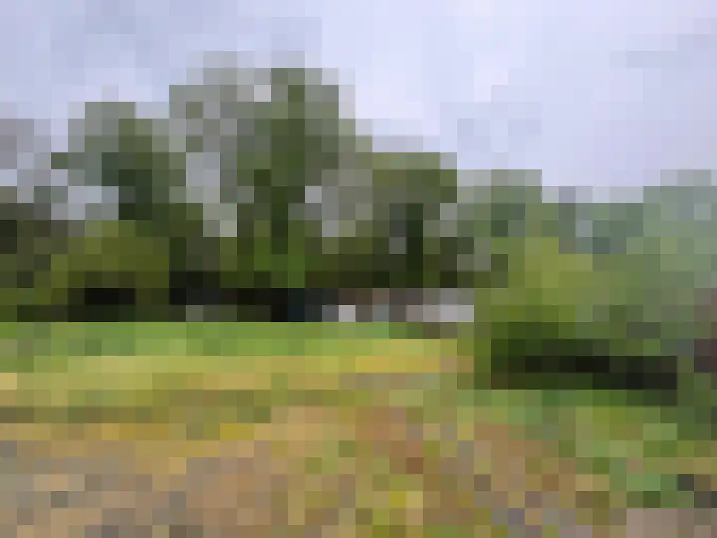 Diesterbaan 63 Weert thumbnail 4