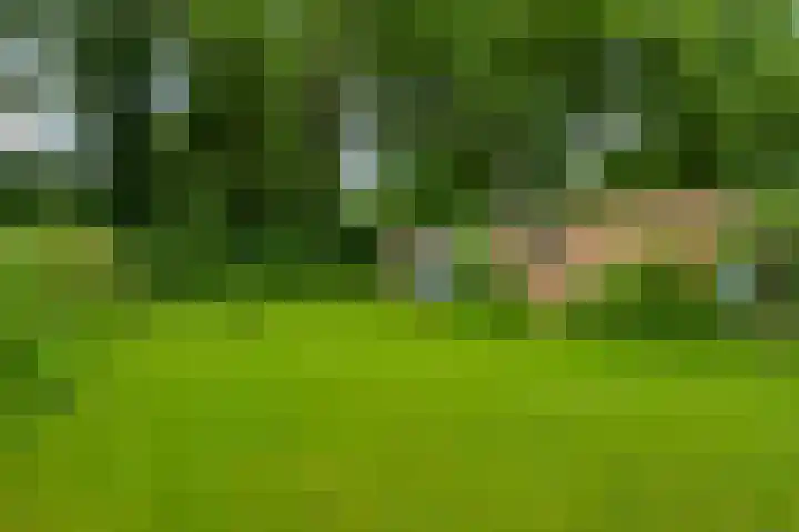 Diesterbaan 9 Weert foto 2