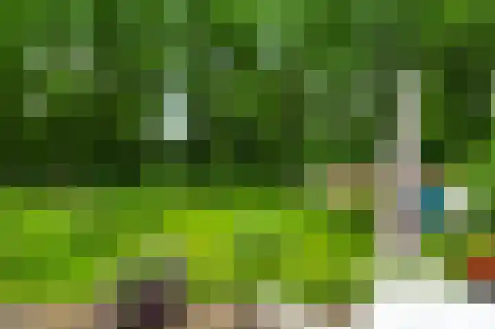Diesterbaan 9 Weert thumbnail 25