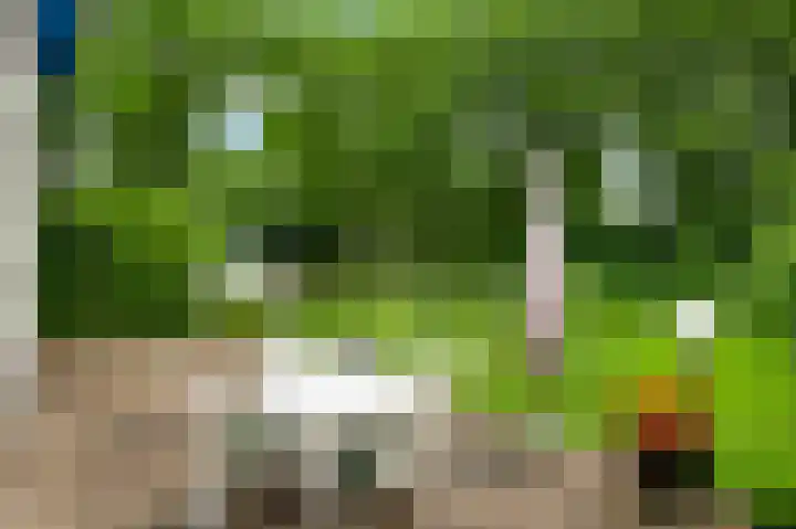 Diesterbaan 9 Weert thumbnail 26