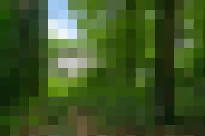 Diesterbaan 9 Weert thumbnail 30