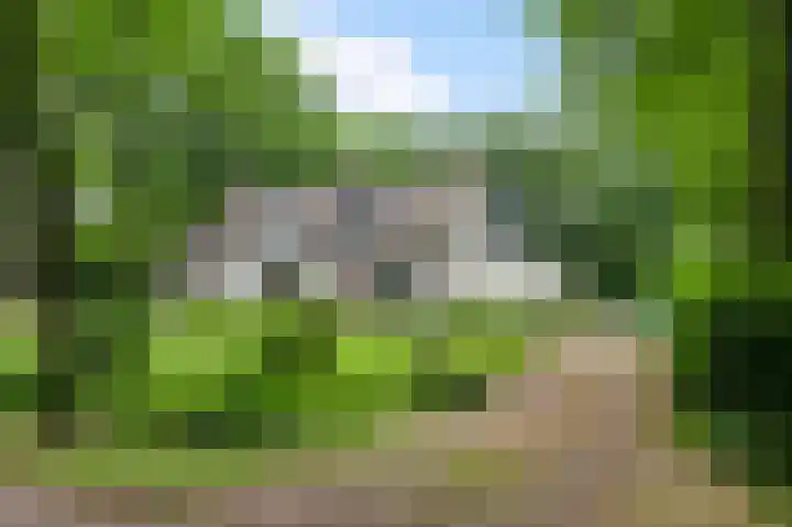 Diesterbaan 9 Weert thumbnail 31