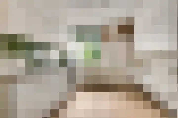 Diesterbaan 9 Weert thumbnail 7