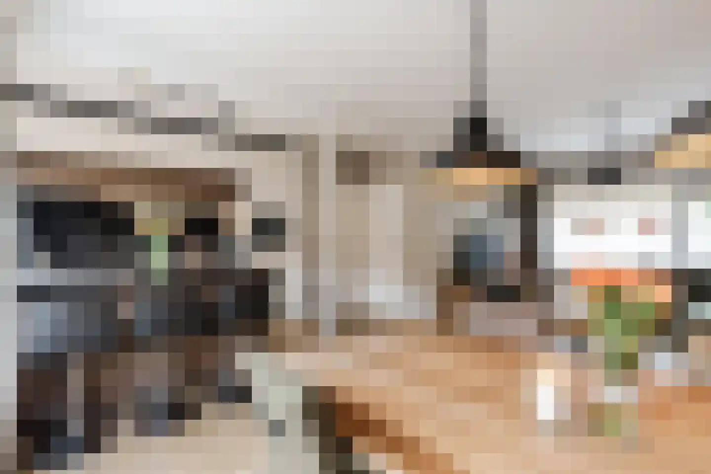 Diestlaan 9 Eindhoven thumbnail 11
