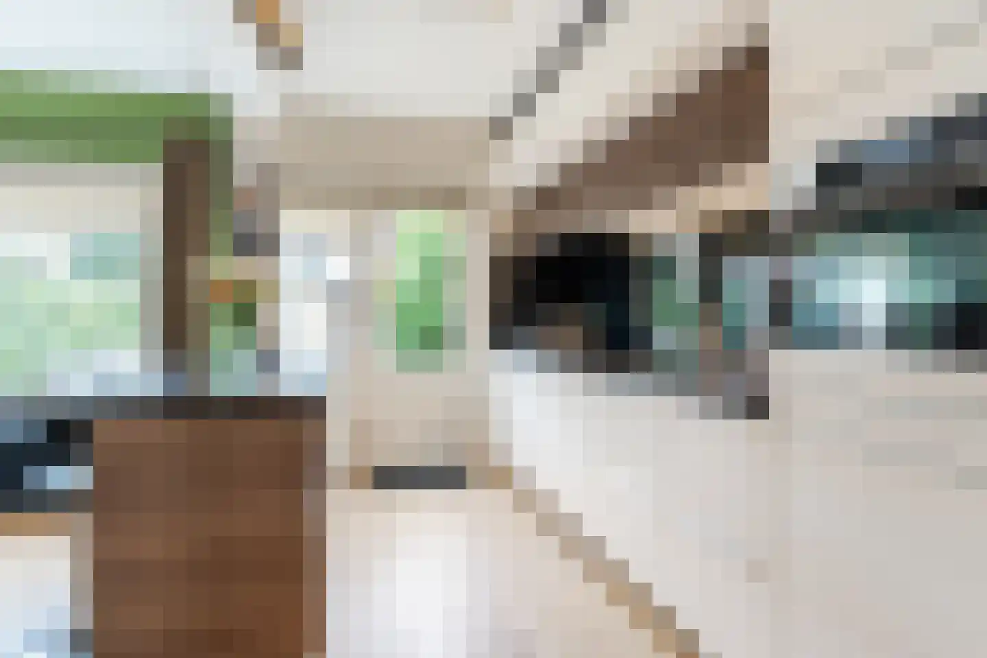 Diestlaan 9 Eindhoven thumbnail 12