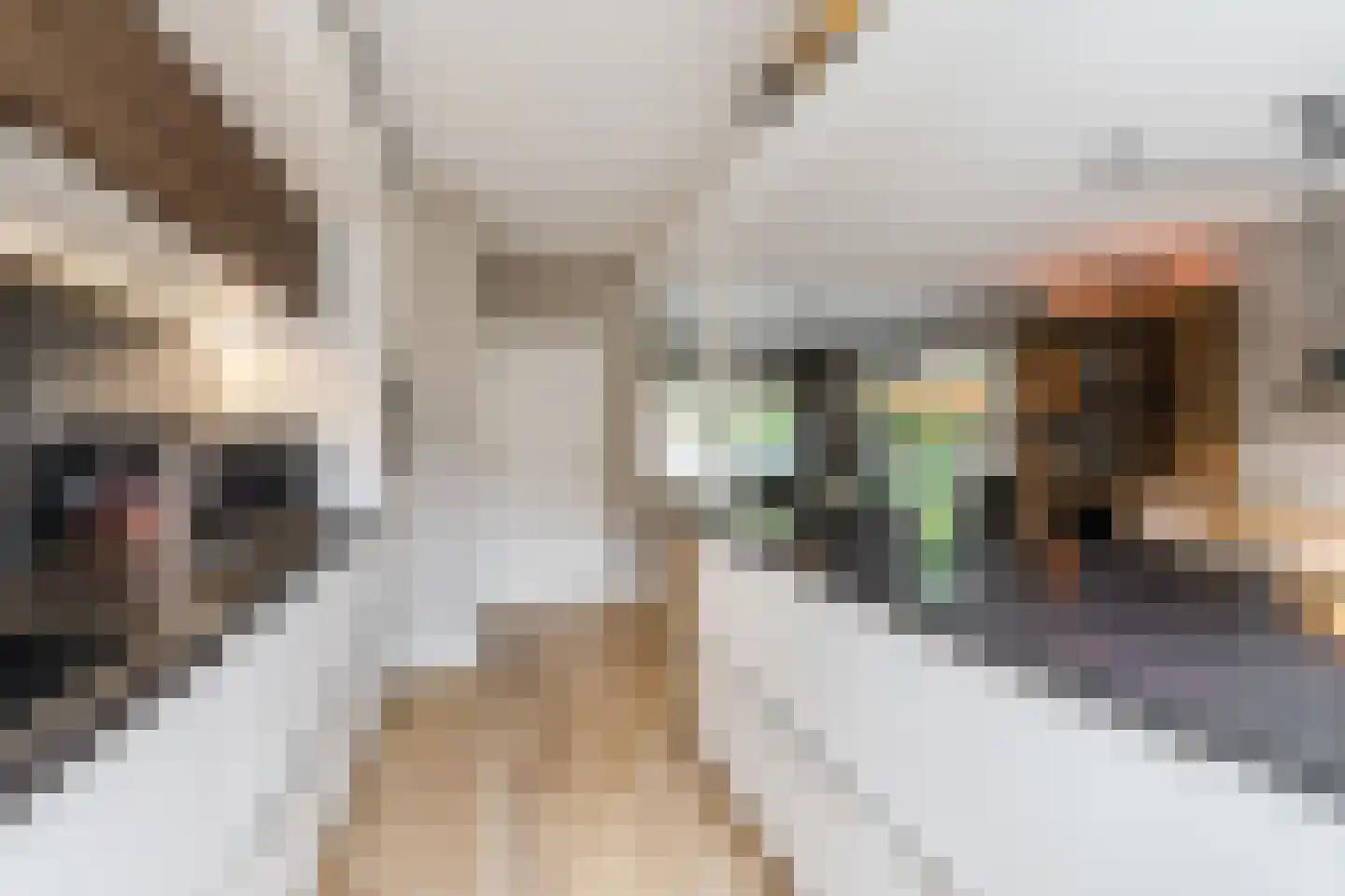 Diestlaan 9 Eindhoven thumbnail 14