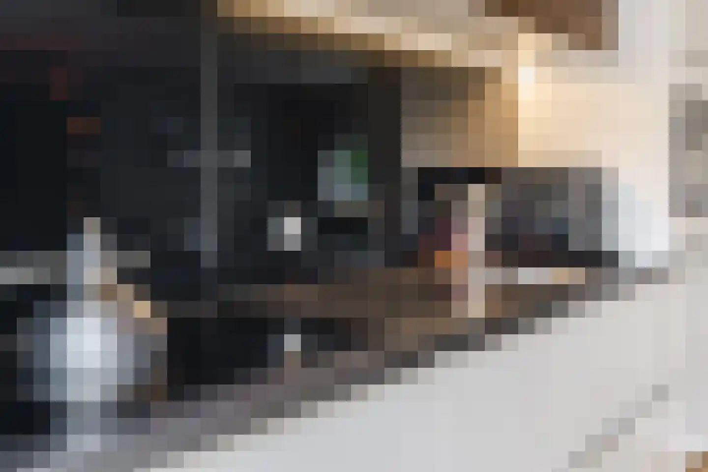 Diestlaan 9 Eindhoven thumbnail 15