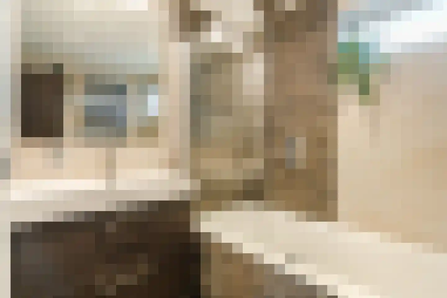 Diestlaan 9 Eindhoven thumbnail 24