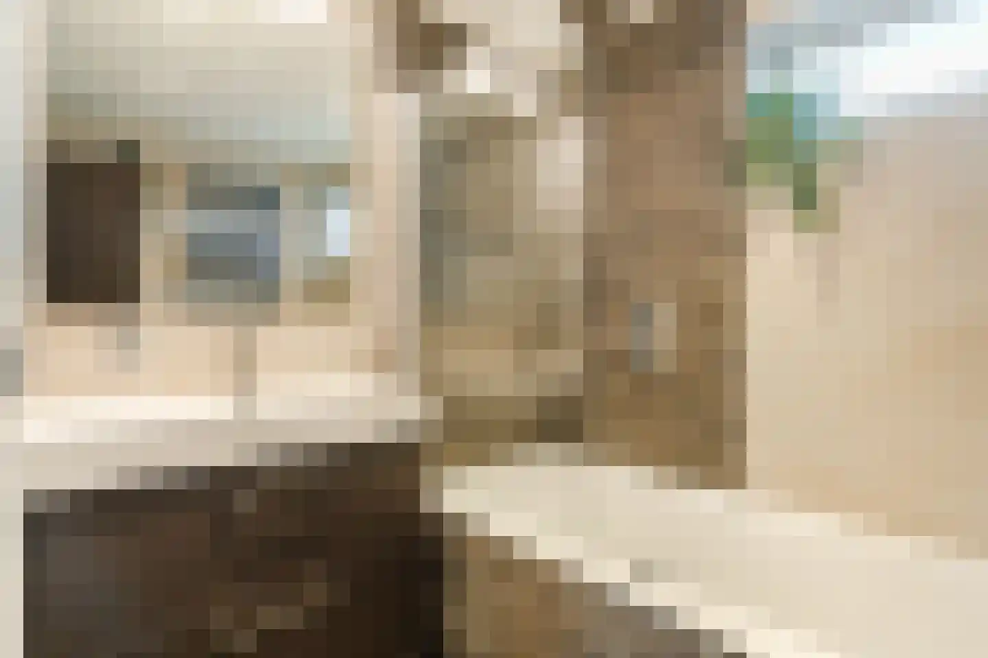 Diestlaan 9 Eindhoven thumbnail 24