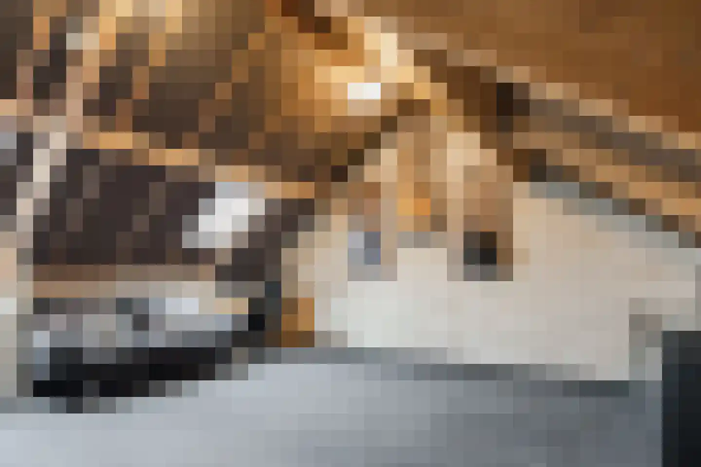 Diestlaan 9 Eindhoven thumbnail 27