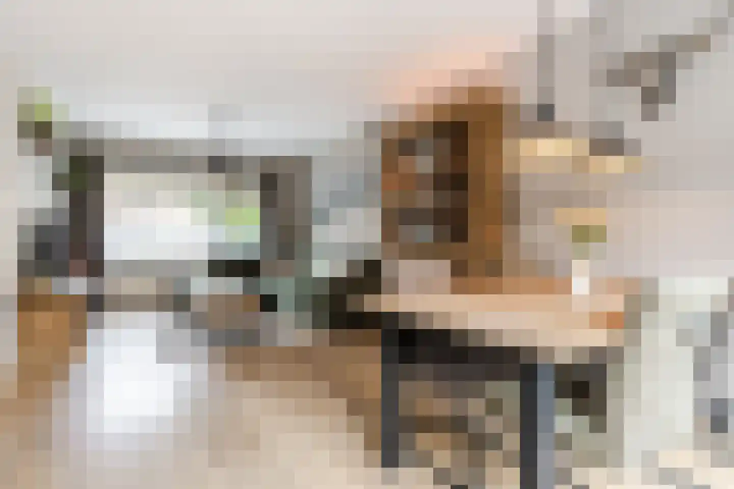 Diestlaan 9 Eindhoven thumbnail 4