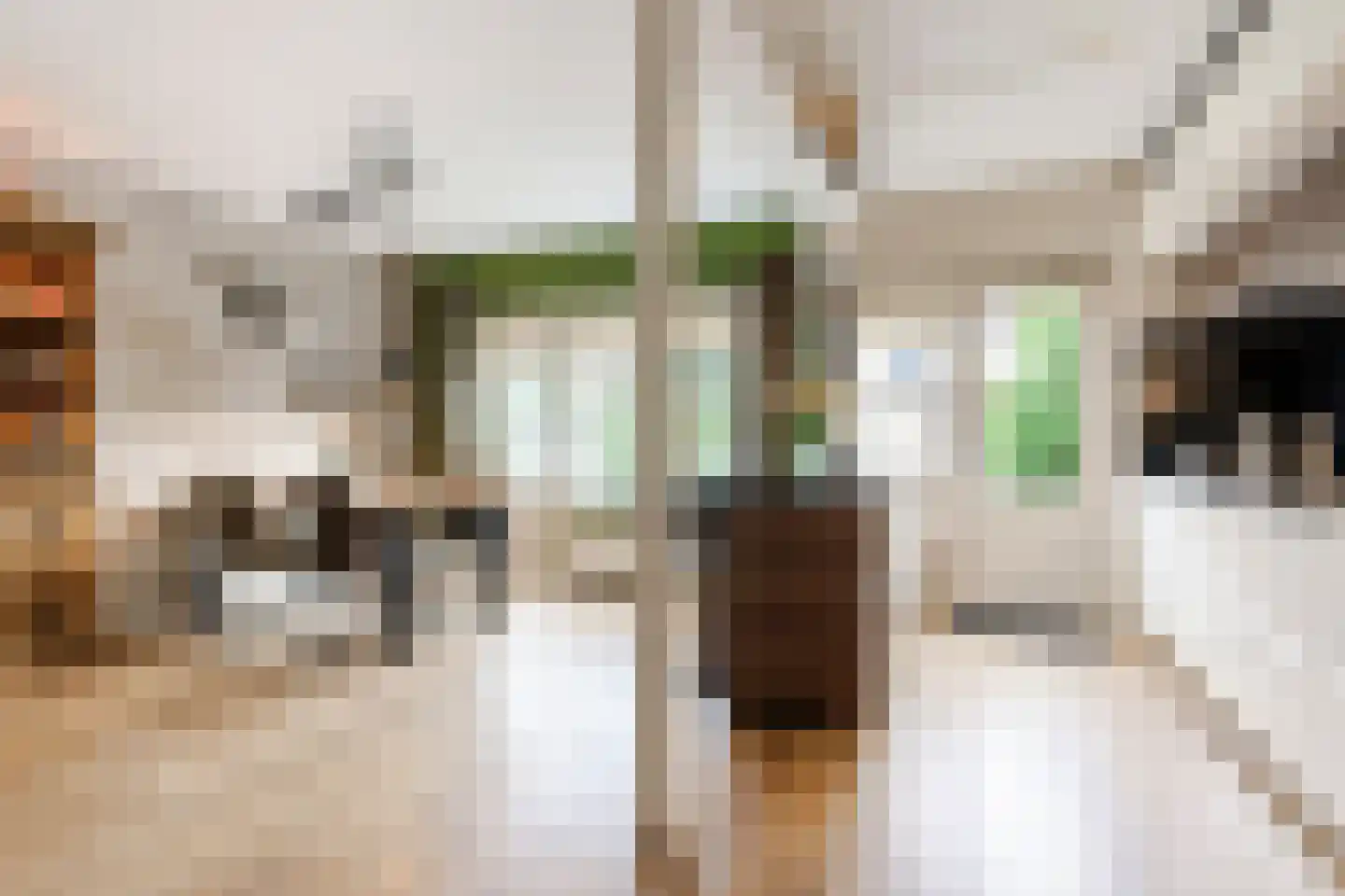 Diestlaan 9 Eindhoven thumbnail 9